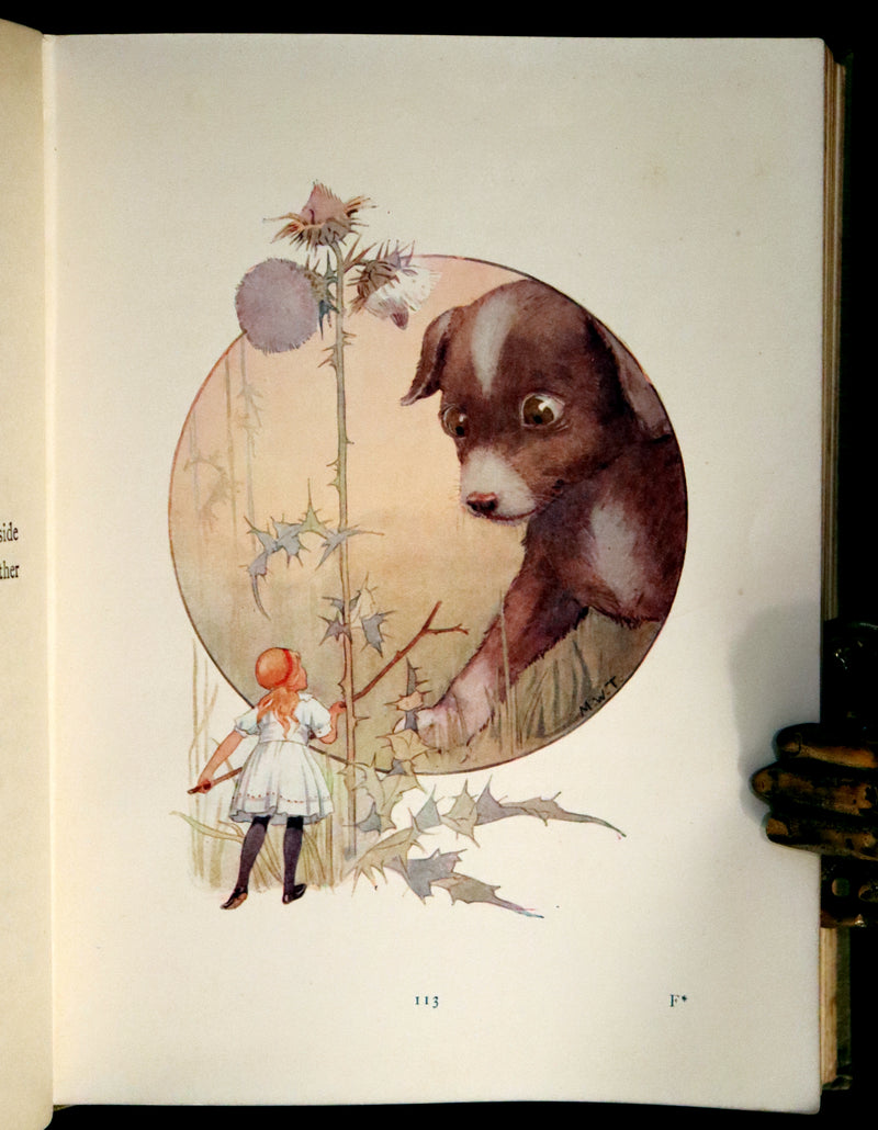 1920 Rare Book - Alice's Adventures in Wonderland illustrated by Margaret W. Tarrant.