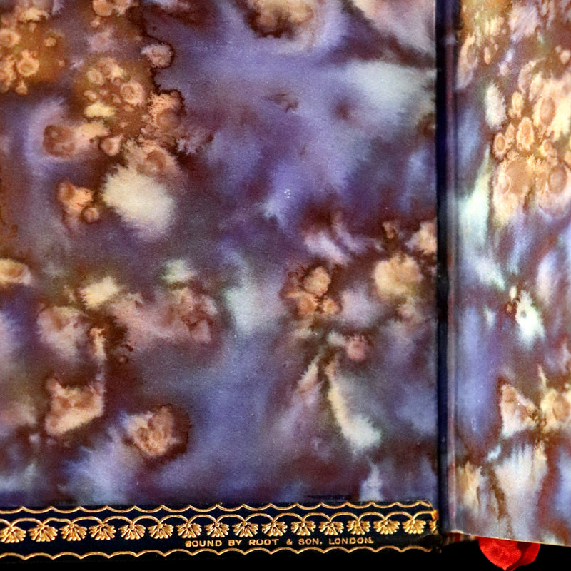 1877 First Edition bound by Root & Son - Our Trip to Blunderland illustrated by Charles Doyle.