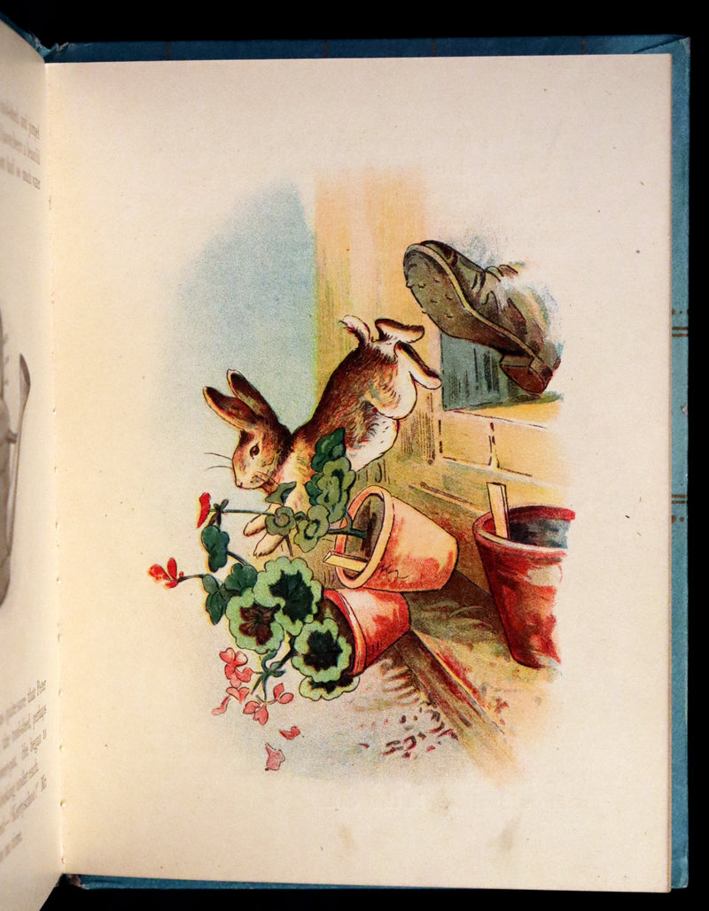 1908 Scarce American Pirated Edition - THE TALE OF PETER RABBIT by Beatrix Potter.