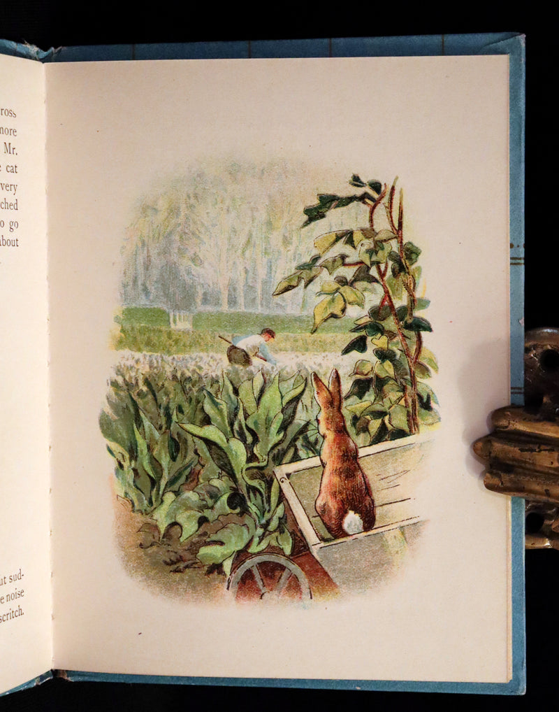 1908 Scarce American Pirated Edition - THE TALE OF PETER RABBIT by Beatrix Potter.