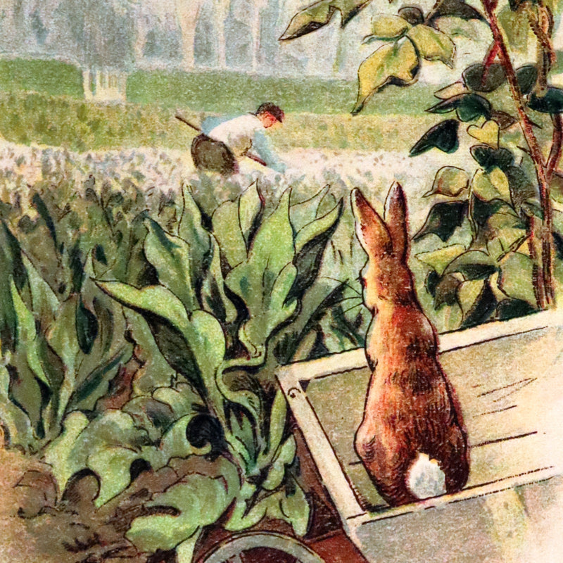 1908 Scarce American Pirated Edition - THE TALE OF PETER RABBIT by Beatrix Potter.
