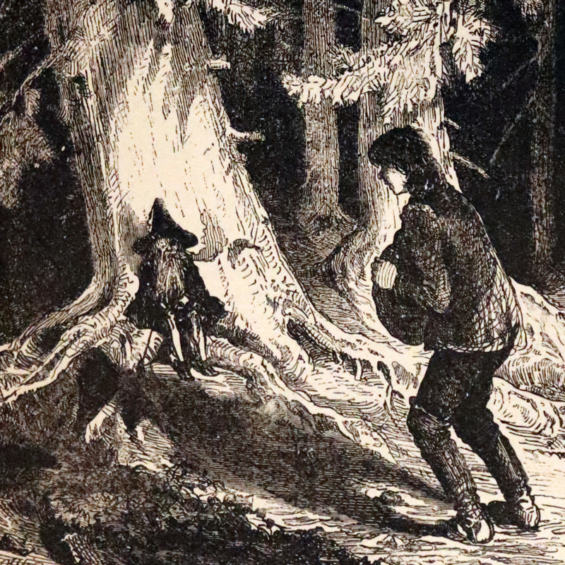 1882 Scarce Victorian Book - HAUFF'S Fairy Tales, Tales of the Caravan, Inn, and Palace. Illustrated.