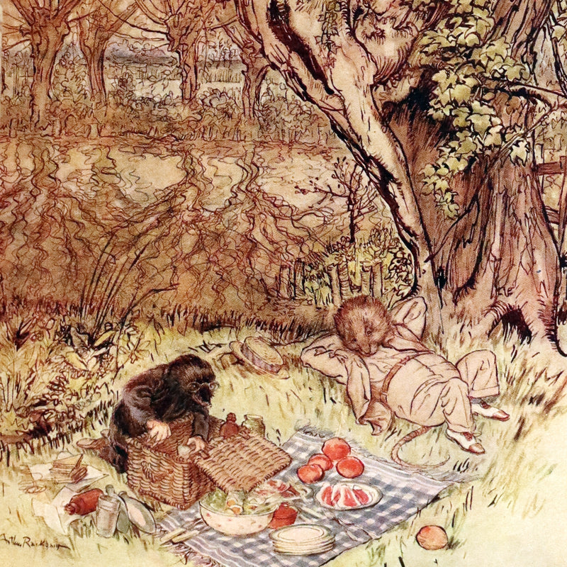 1959 Book bound by Cottage Bindery - The WIND IN THE WILLOWS illustrated by RACKHAM.