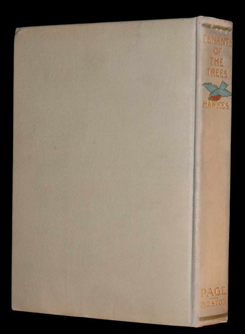 1907 Rare First Edition ~ Tenants of the Trees by Clarence Hawkes, Illustrated by Louis Rhead.
