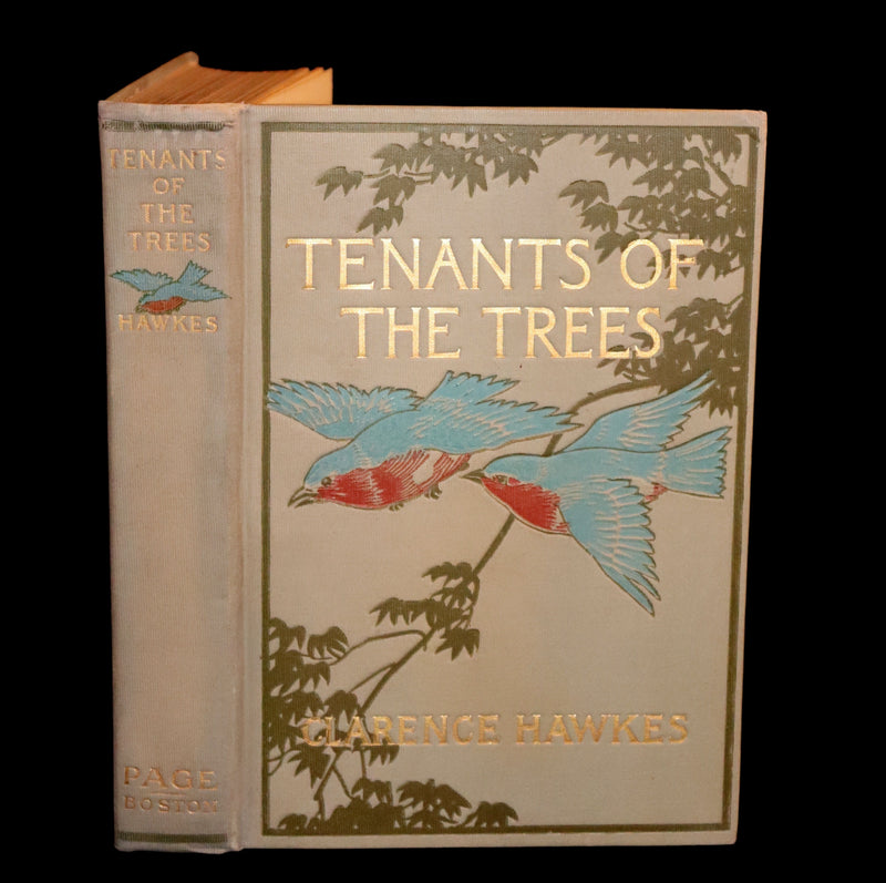 1907 Rare First Edition ~ Tenants of the Trees by Clarence Hawkes, Illustrated by Louis Rhead.