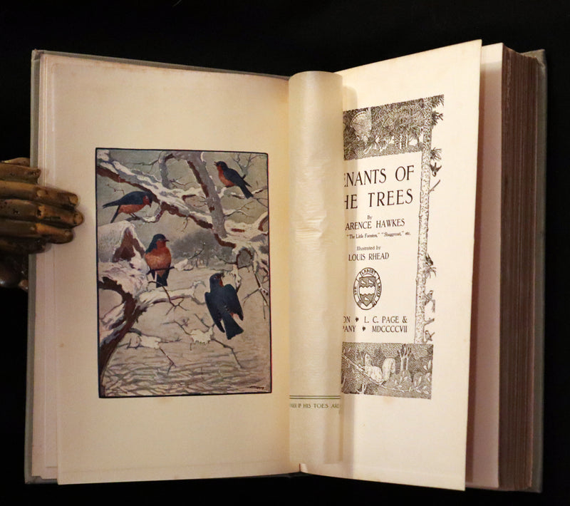 1907 Rare First Edition ~ Tenants of the Trees by Clarence Hawkes, Illustrated by Louis Rhead.
