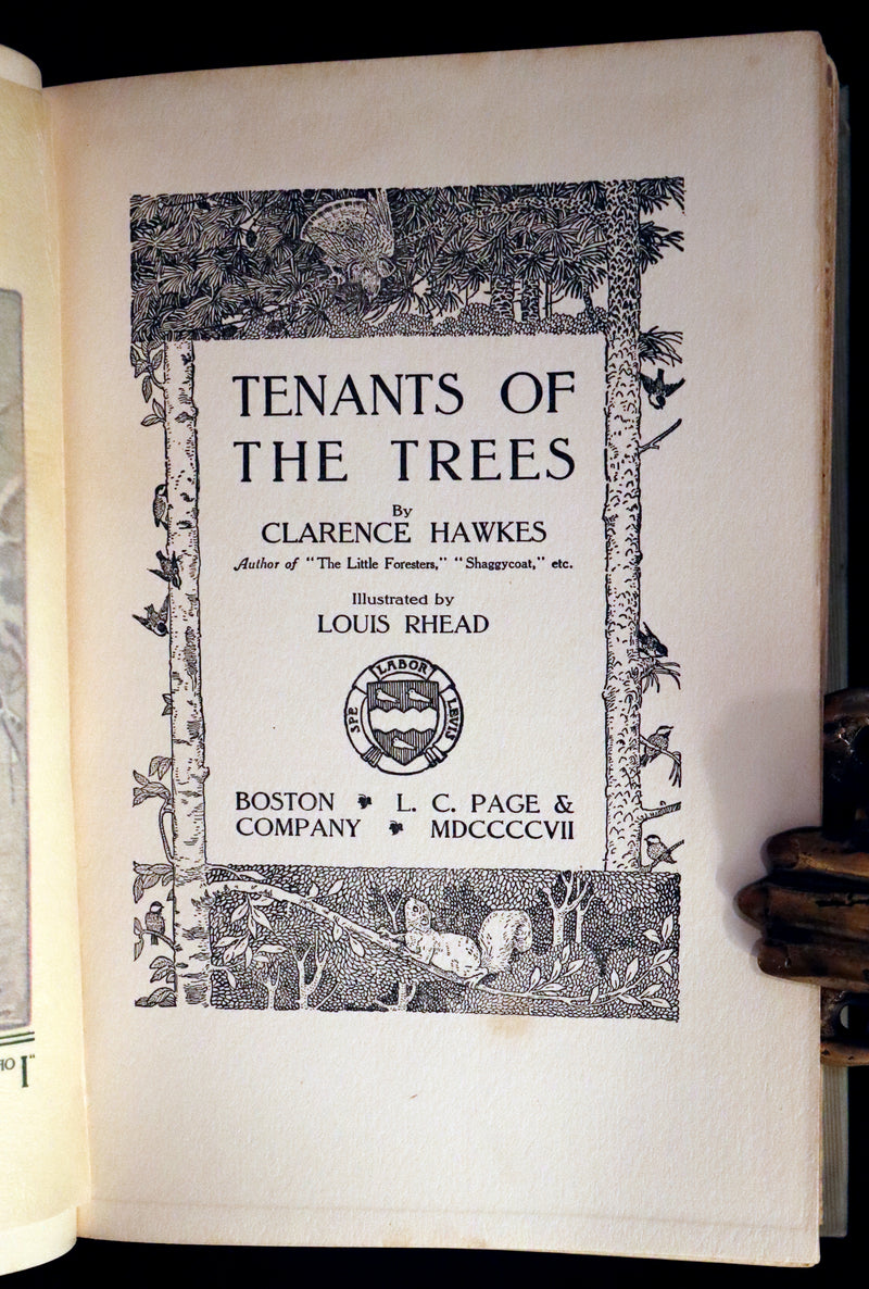 1907 Rare First Edition ~ Tenants of the Trees by Clarence Hawkes, Illustrated by Louis Rhead.
