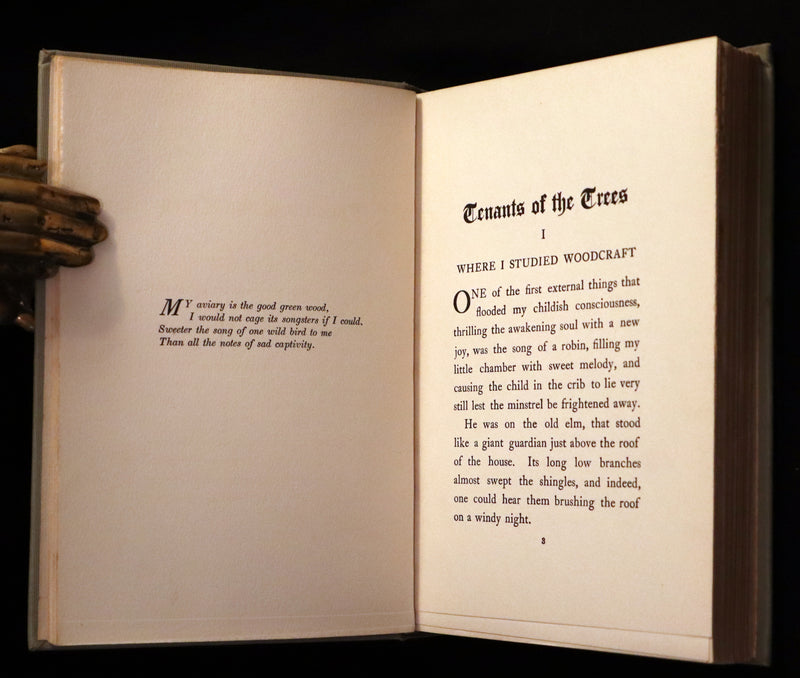 1907 Rare First Edition ~ Tenants of the Trees by Clarence Hawkes, Illustrated by Louis Rhead.