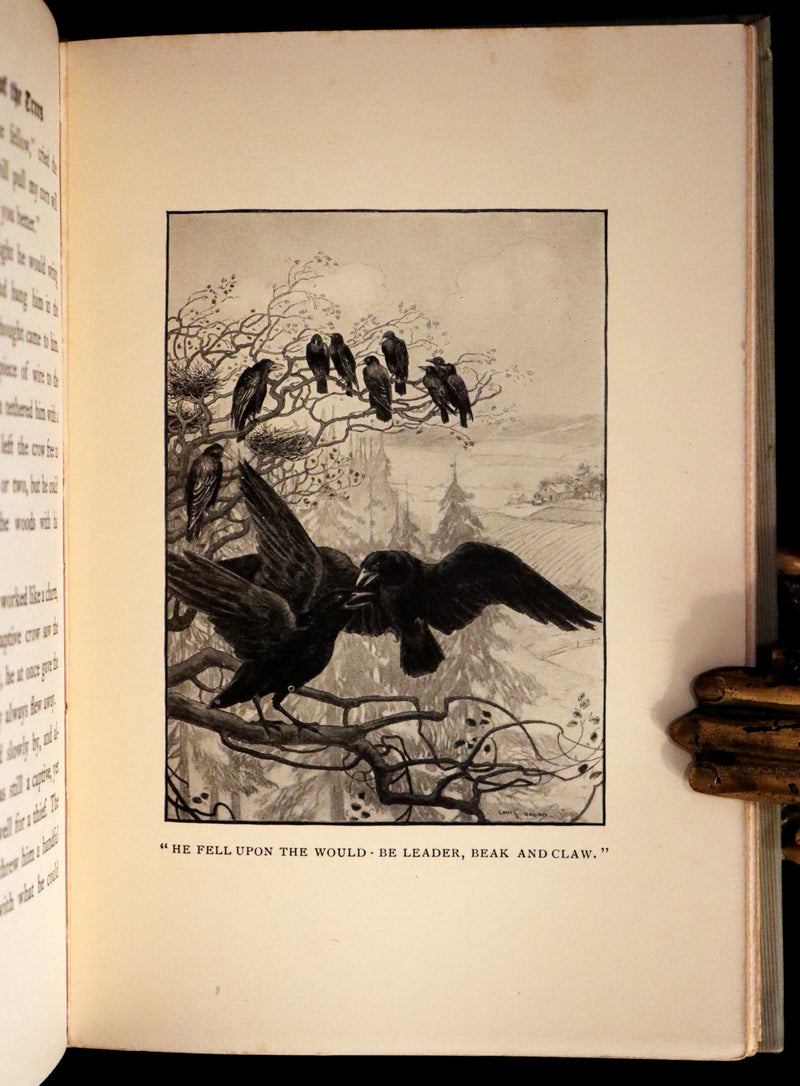 1907 Rare First Edition ~ Tenants of the Trees by Clarence Hawkes, Illustrated by Louis Rhead.
