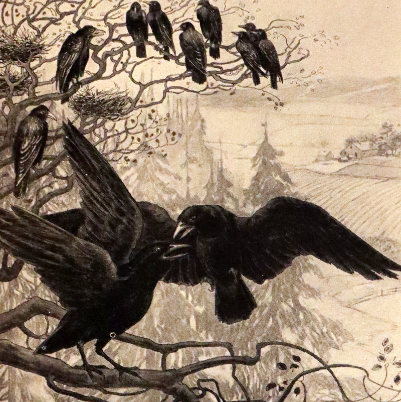 1907 Rare First Edition ~ Tenants of the Trees by Clarence Hawkes, Illustrated by Louis Rhead.