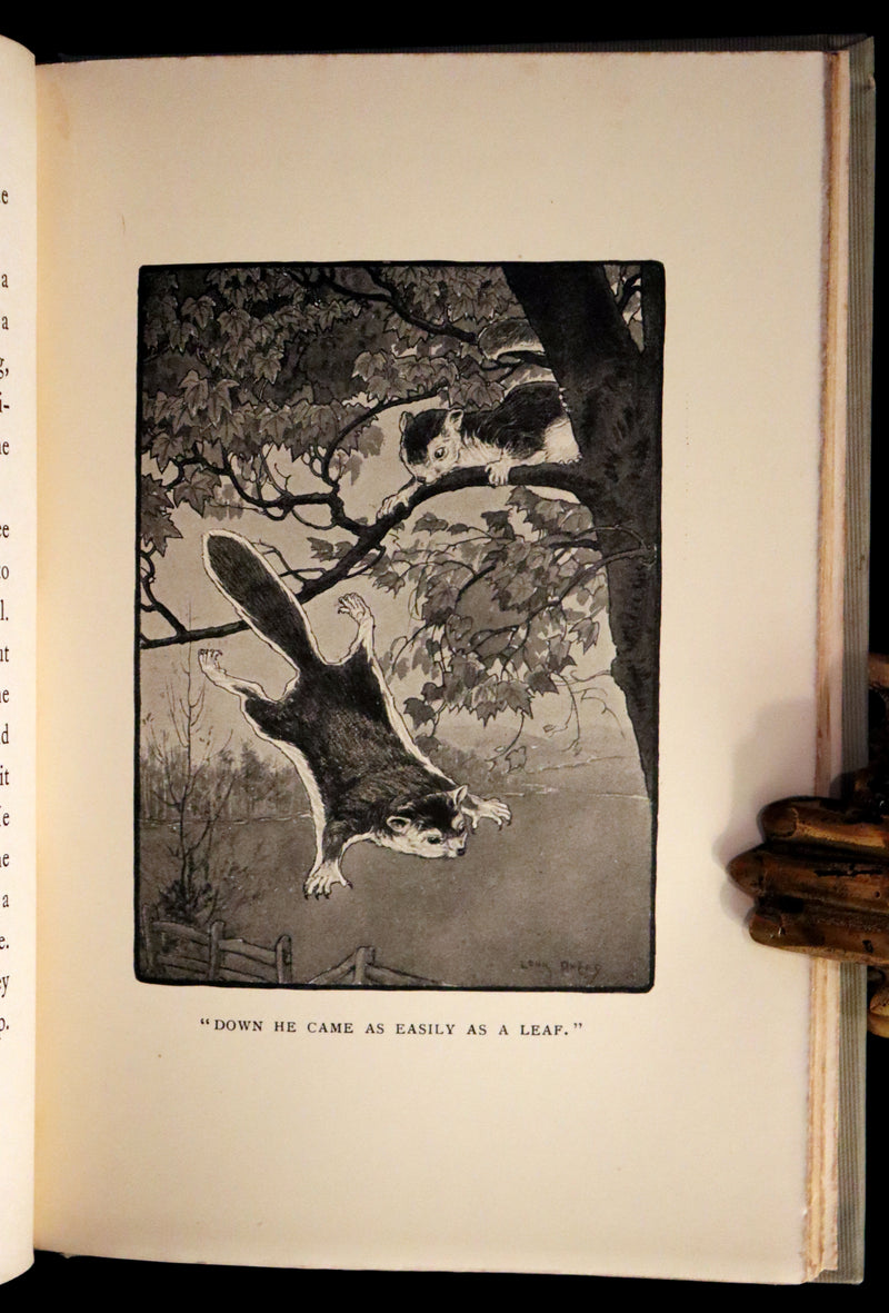 1907 Rare First Edition ~ Tenants of the Trees by Clarence Hawkes, Illustrated by Louis Rhead.