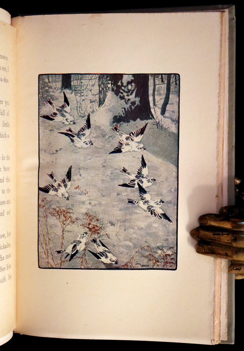 1907 Rare First Edition ~ Tenants of the Trees by Clarence Hawkes, Illustrated by Louis Rhead.