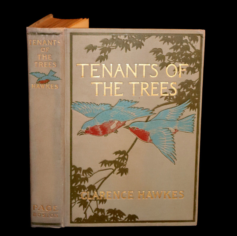 1907 Rare First Edition ~ Tenants of the Trees by Clarence Hawkes, Illustrated by Louis Rhead.