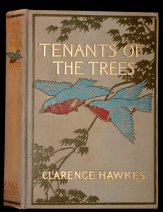 1907 Rare First Edition ~ Tenants of the Trees by Clarence Hawkes, Illustrated by Louis Rhead.