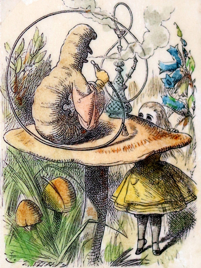 1869 Fine Cottage Binding - Alice's Adventures in Wonderland by Lewis Carroll.