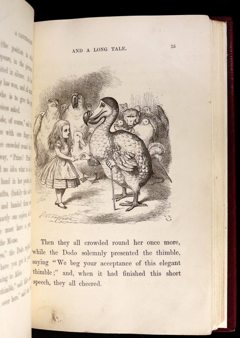 1869 Fine Cottage Binding - Alice's Adventures in Wonderland by Lewis Carroll.
