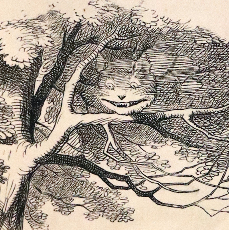 1869 Fine Cottage Binding - Alice's Adventures in Wonderland by Lewis Carroll.