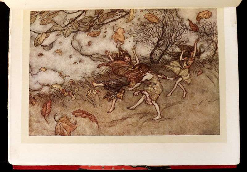 1920 Rare Book - PETER PAN in Kensington Garden illustrated by Arthur Rackham.