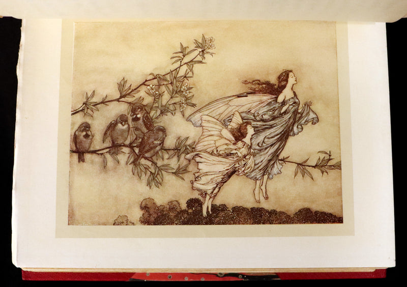 1920 Rare Book - PETER PAN in Kensington Garden illustrated by Arthur Rackham.