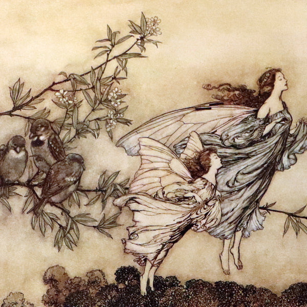 1920 Rare Book - PETER PAN in Kensington Garden illustrated by Arthur Rackham.