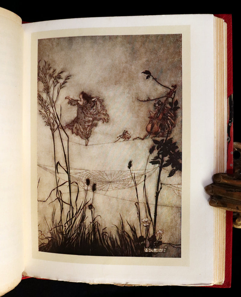 1920 Rare Book - PETER PAN in Kensington Garden illustrated by Arthur Rackham.