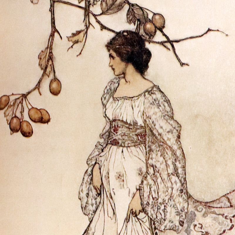 1920 Rare Book - PETER PAN in Kensington Garden illustrated by Arthur Rackham.