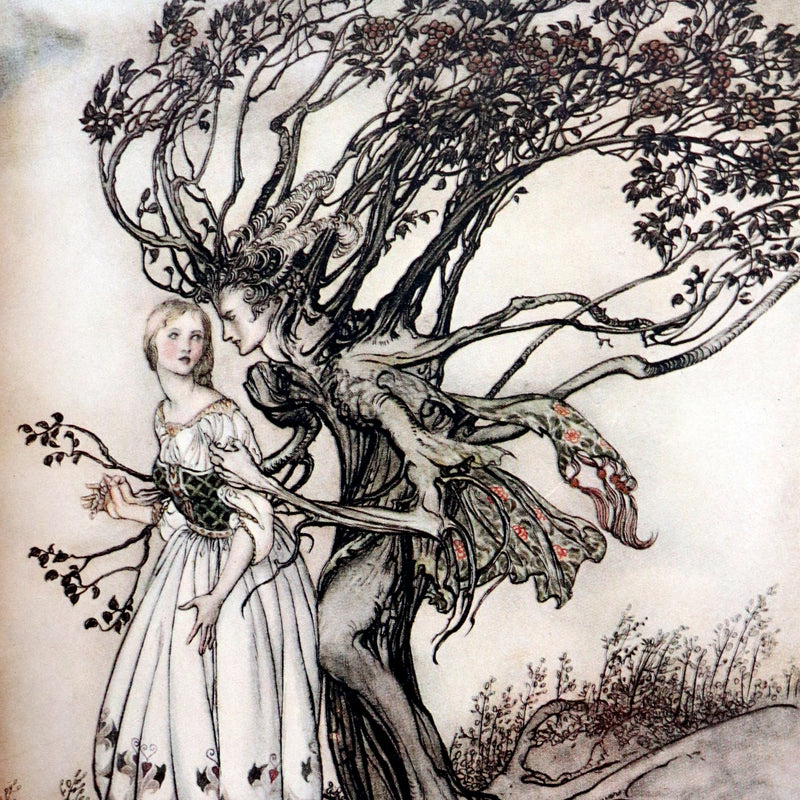 1917 Rare Rackham 1stED bound by Bayntun - Little Brother & Little Sister and Other Tales by Brothers Grimm.