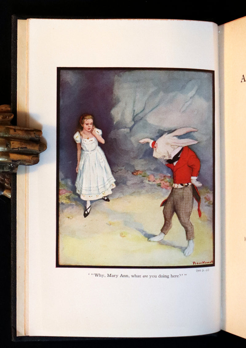 1901 Rare Edition - Alice's Adventures in Wonderland by Lewis Carroll illustrated by Peter Newell.