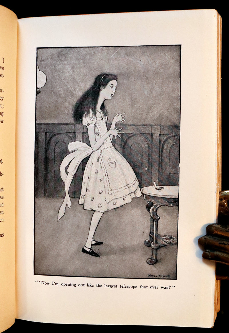 1901 Rare Edition - Alice's Adventures in Wonderland by Lewis Carroll illustrated by Peter Newell.