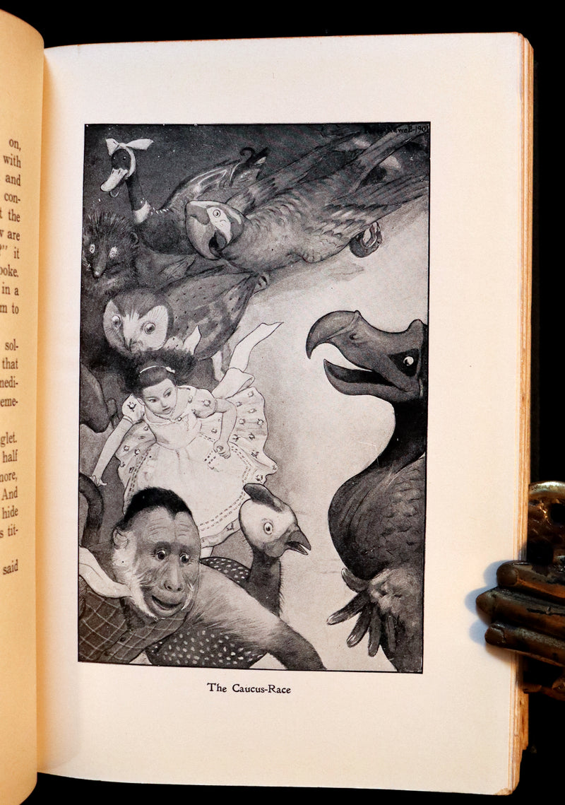 1901 Rare Edition - Alice's Adventures in Wonderland by Lewis Carroll illustrated by Peter Newell.