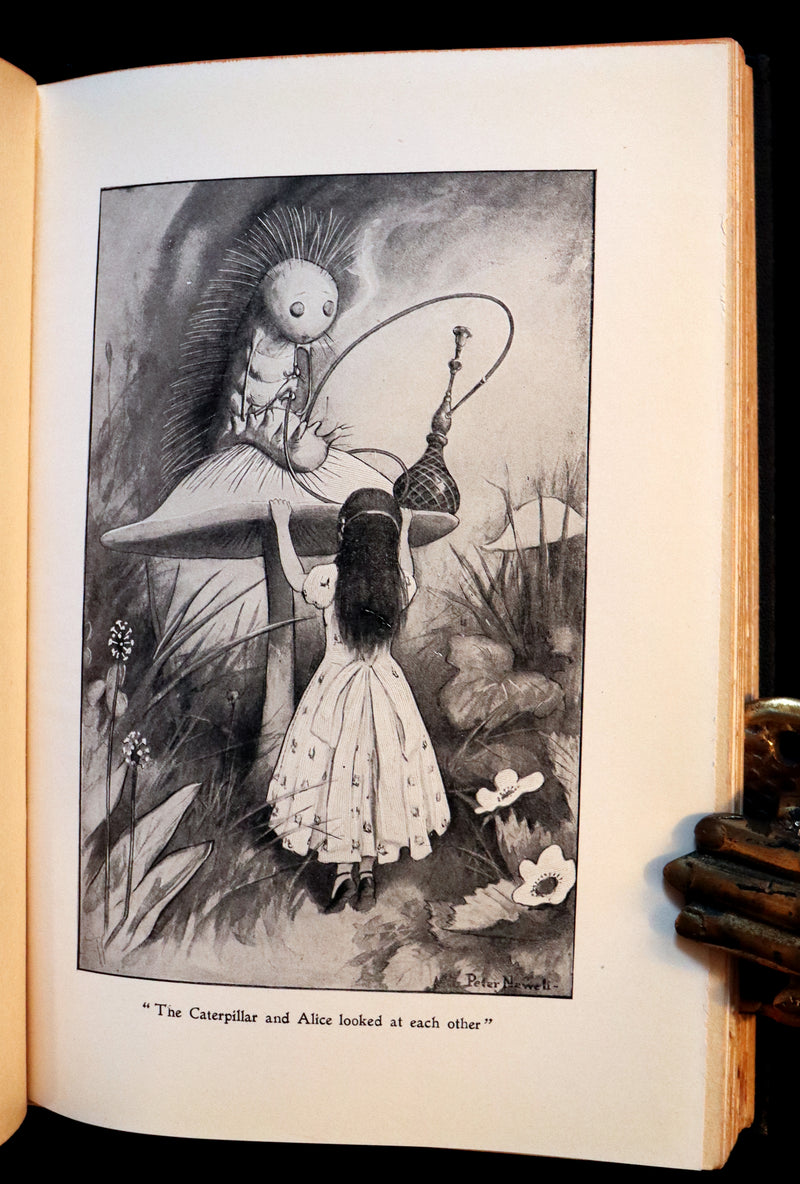 1901 Rare Edition - Alice's Adventures in Wonderland by Lewis Carroll illustrated by Peter Newell.