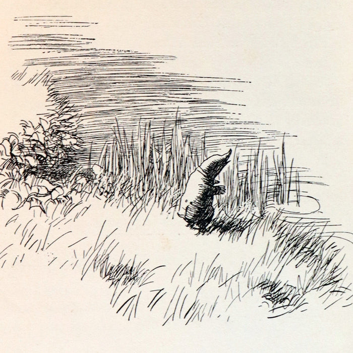 1931 First Edition Illustrated by E. H. Shepard - THE WIND IN THE WILLOWS by Kenneth Grahame.