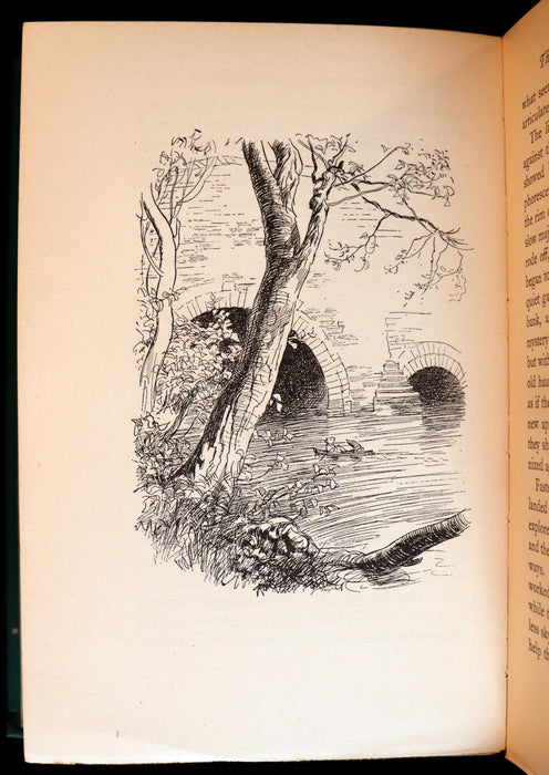 1931 First Edition Illustrated by E. H. Shepard - THE WIND IN THE WILLOWS by Kenneth Grahame.