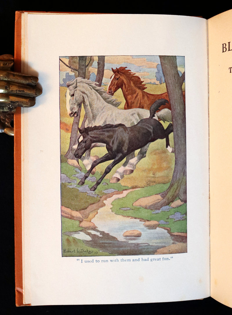 1911 Rare First Illustrated Edition by R.L. Dickey - BLACK BEAUTY, Autobiography of a Horse by A. Sewell.