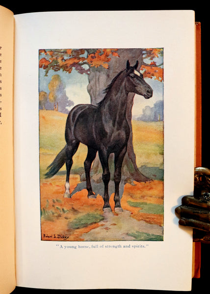 1911 Rare First Illustrated Edition by R.L. Dickey - BLACK BEAUTY, Autobiography of a Horse by A. Sewell.