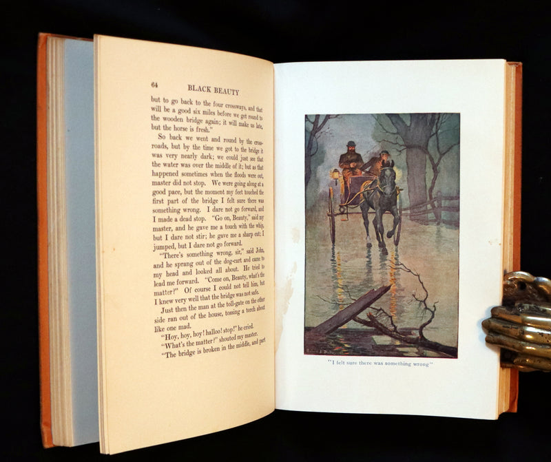 1911 Rare First Illustrated Edition by R.L. Dickey - BLACK BEAUTY, Autobiography of a Horse by A. Sewell.