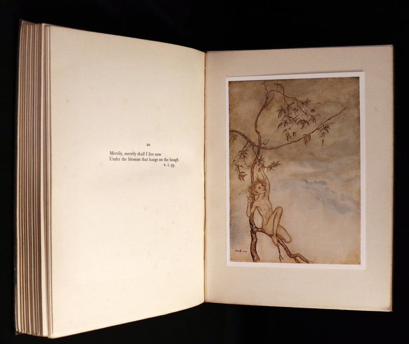 1926 Rare First Edition - THE TEMPEST by Shakespeare illustrated by Arthur RACKHAM.