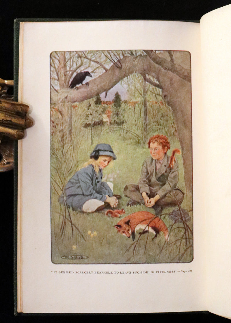 1911 Rare First Edition Book - The Secret Garden by F. H. Burnett Illustrated by Maria Louise Kirk.