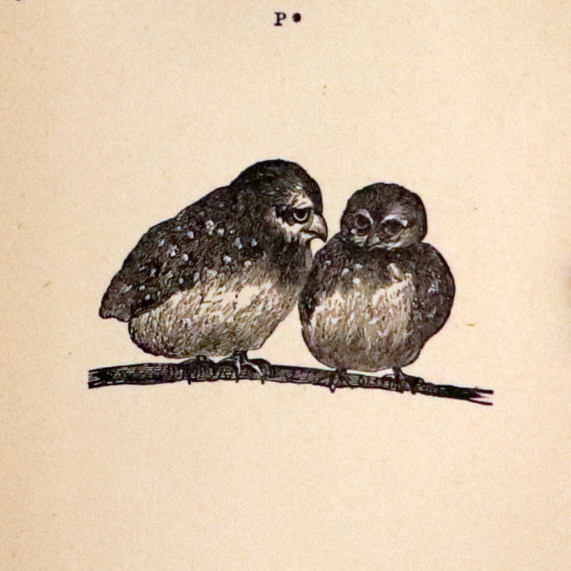 1870 Rare Book - Eastern Fairy Legends Current in Southern India by Mary Eliza Isabella Frere.