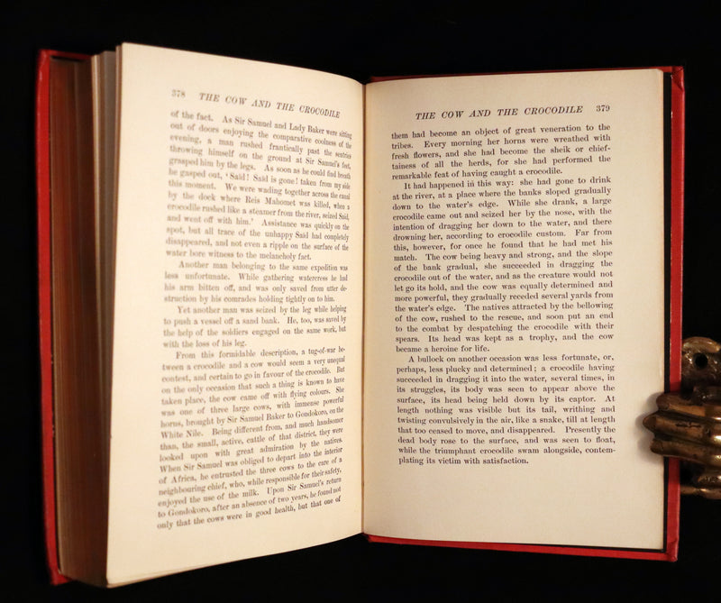 1899 Rare 1stED - The RED BOOK of ANIMAL STORIES by Andrew Lang Illustrated by H.J. Ford.