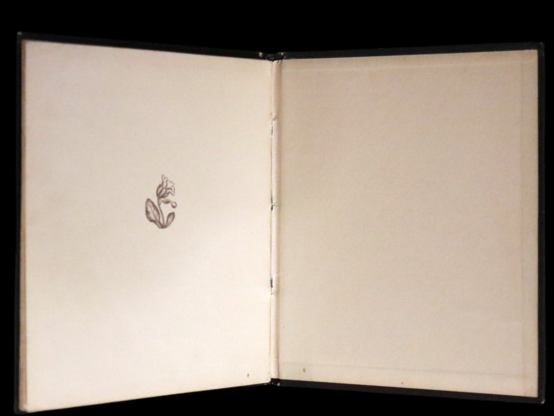 1936 Scarce English 1stED - John Rabbit & Son, Easter Eggs illustrated by Ida Bohatta Morpurgo.