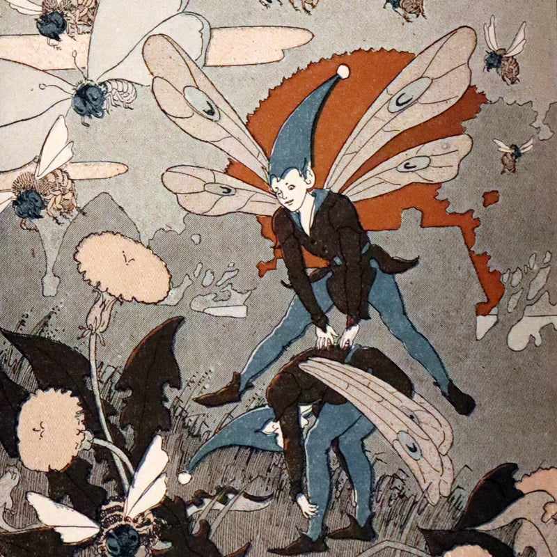 1921 Rare First Edition - Jack O'Health Fairy Tale by Dr. Beatrice Slayton Herben illustrated by Frederick Richardson.