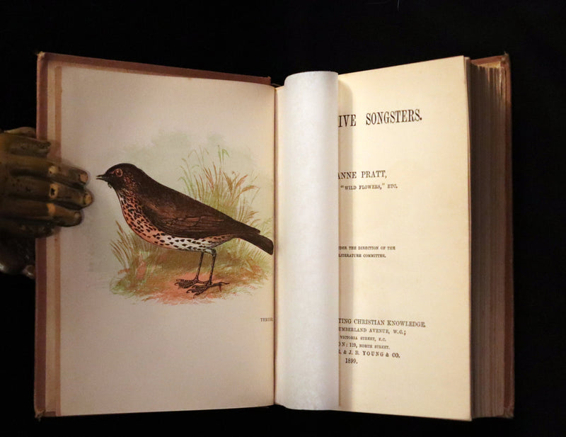 1899 Rare Ornithology Book ~ Our Native Songsters with 72 coloured plates by Anne Pratt.