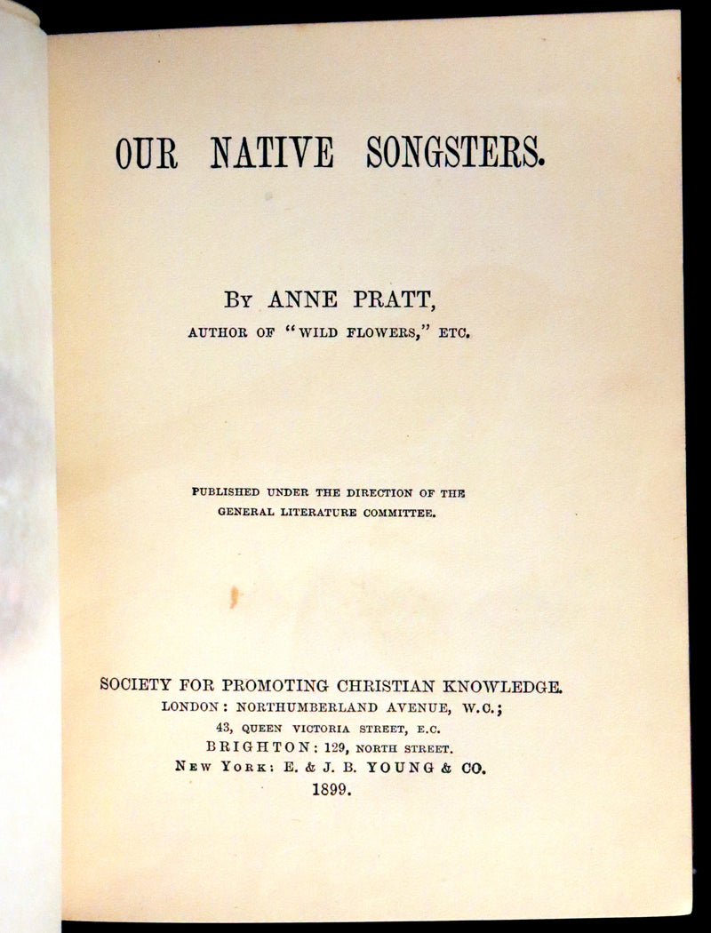 1899 Rare Ornithology Book ~ Our Native Songsters with 72 coloured plates by Anne Pratt.