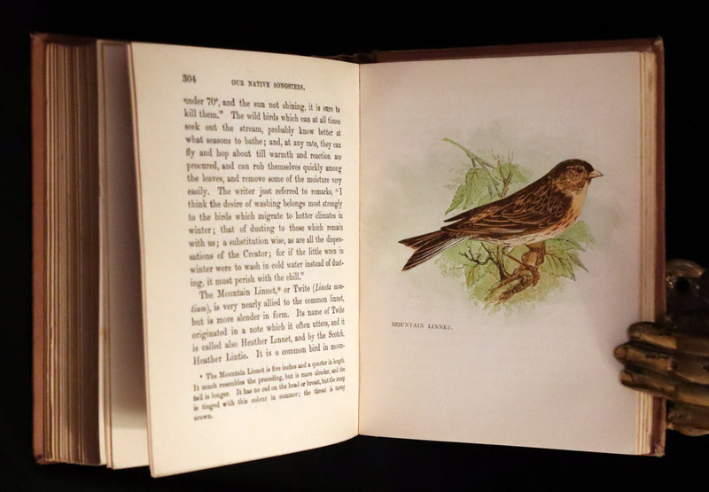 1899 Rare Ornithology Book ~ Our Native Songsters with 72 coloured plates by Anne Pratt.