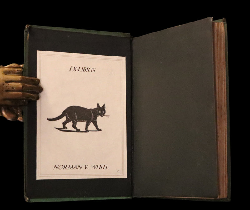 1878 Rare First Edition - ALPINE ADVENTURES, Travel & Research Among the ALPS.