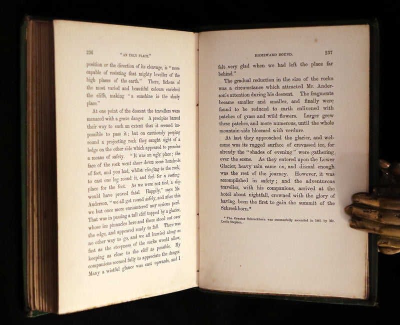 1878 Rare First Edition - ALPINE ADVENTURES, Travel & Research Among the ALPS.