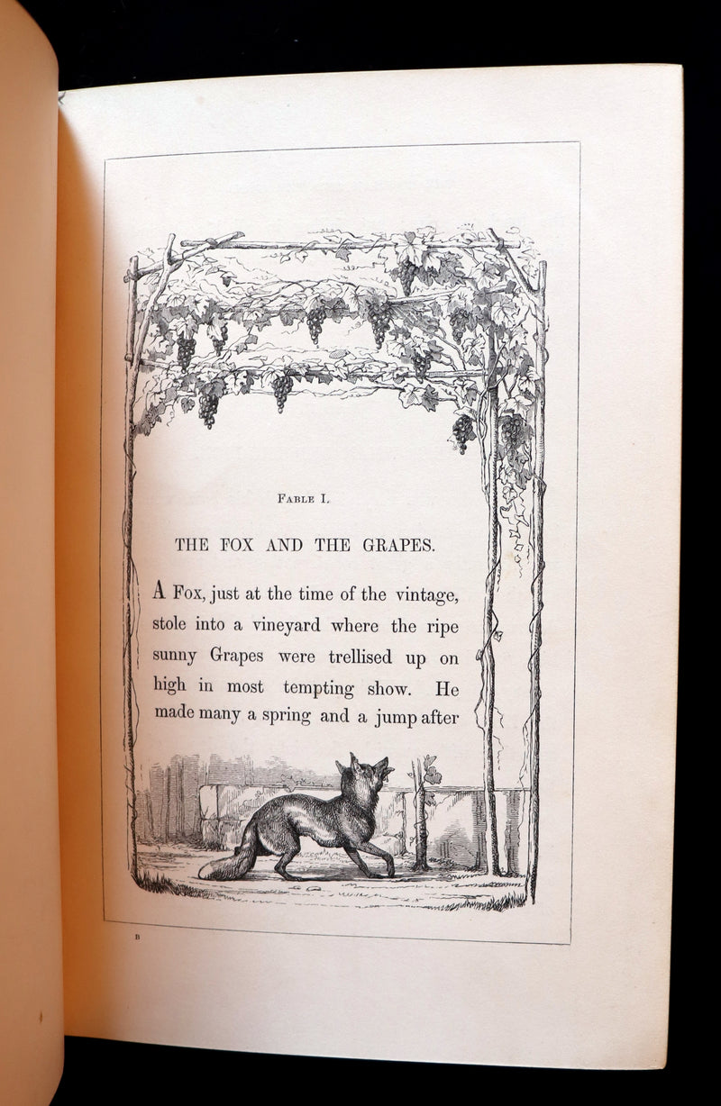 1848 Rare First Edition bound by Bayntun - AESOP'S FABLES illustrated by John TENNIEL.