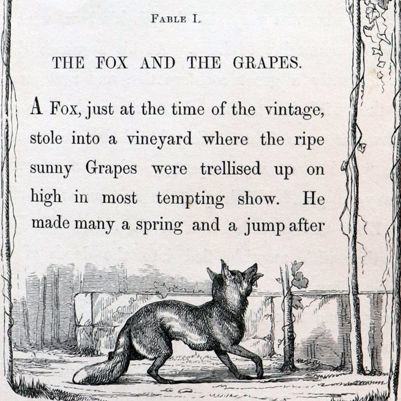 1848 Rare First Edition bound by Bayntun - AESOP'S FABLES illustrated by John TENNIEL.