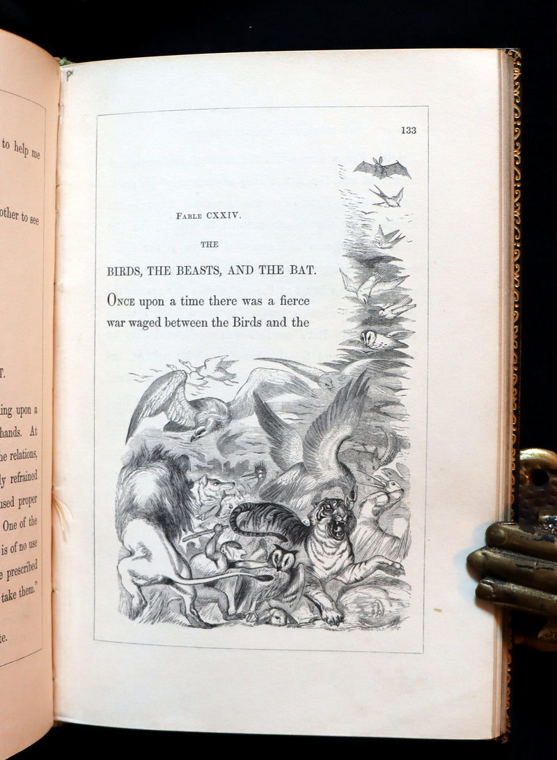 1848 Rare First Edition bound by Bayntun - AESOP'S FABLES illustrated by John TENNIEL.